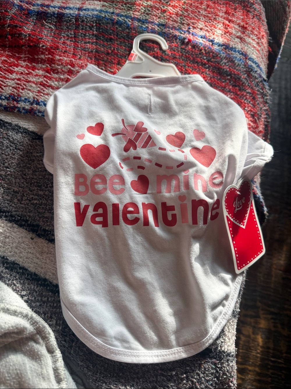 Valentine 'Bee Mine' Cute Dog Tee - Pink & Red Hearts